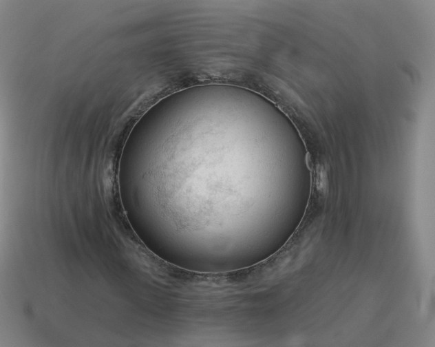 X0000114080915200910191539