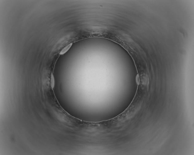 X0000114080916200910191539