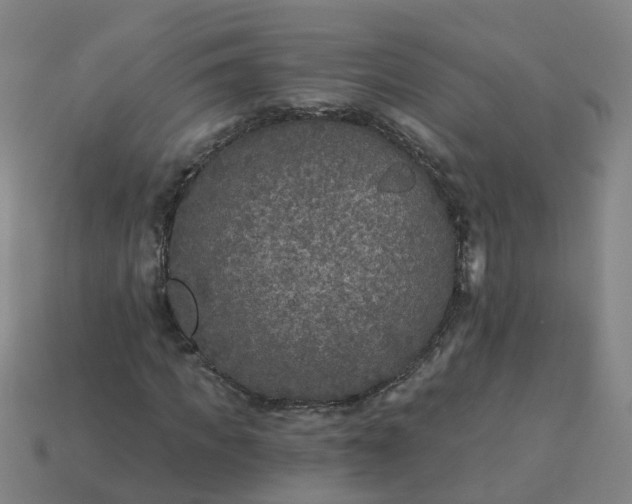 X0000114080917200910191539