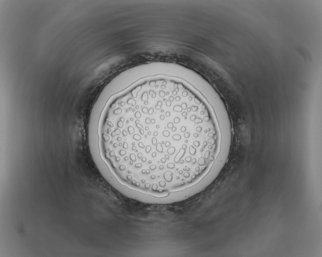 X0000114080918200910191539