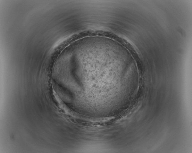 X0000114080919200910191539