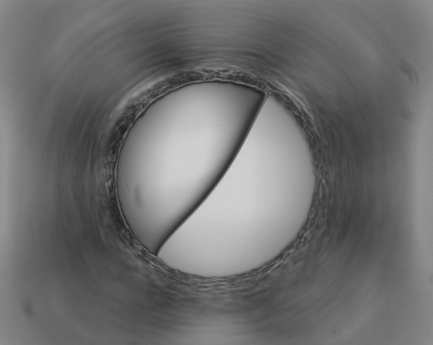 X0000114080920200910191539