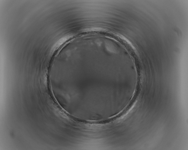 X0000114080921200910191539