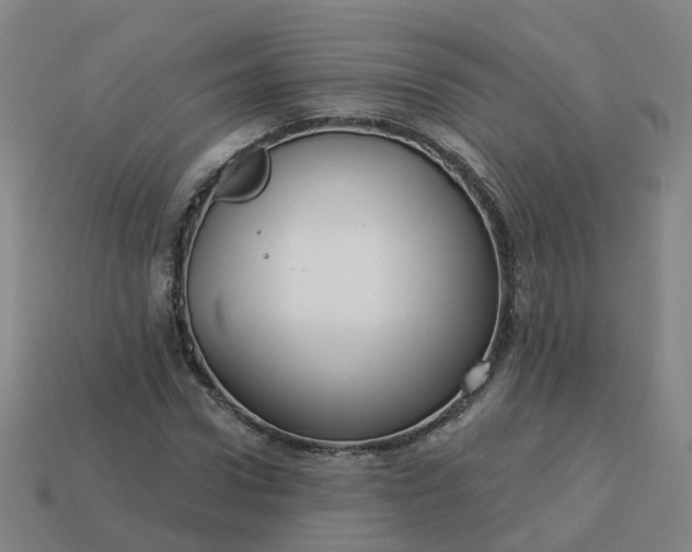 X0000114080922200910191539