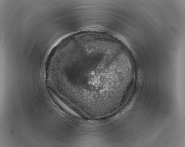 X0000114080923200910191539