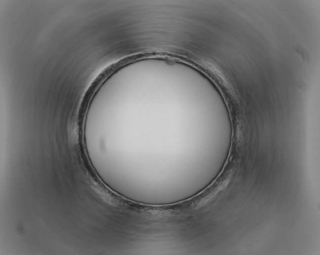 X0000114080924200910191539