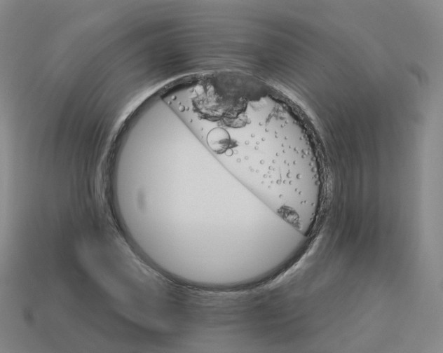 X0000114080925200910191539