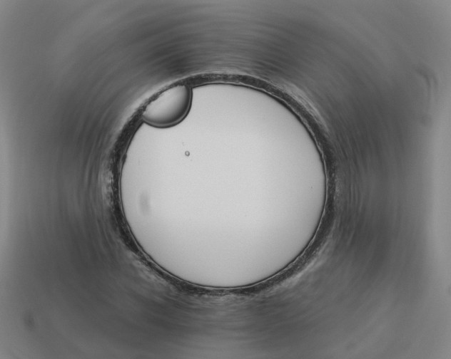 X0000114080926200910191539