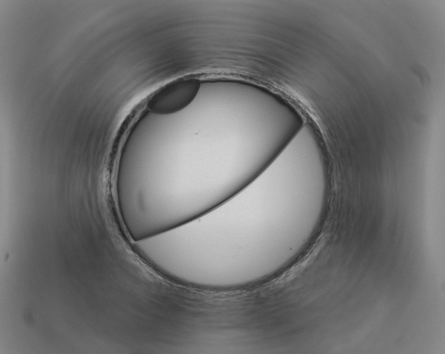 X0000114080928200910191539