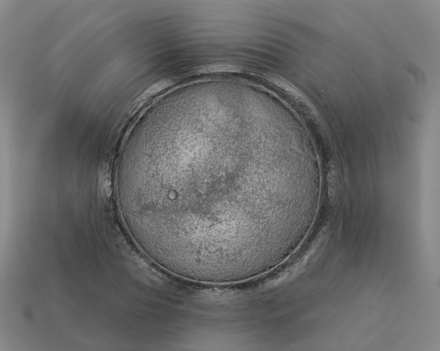 X0000114080929200910191539