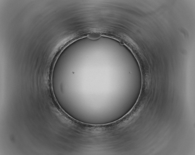 X0000114080930200910191539