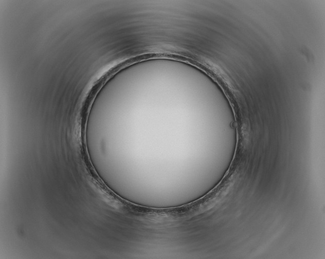 X0000114080931200910191539