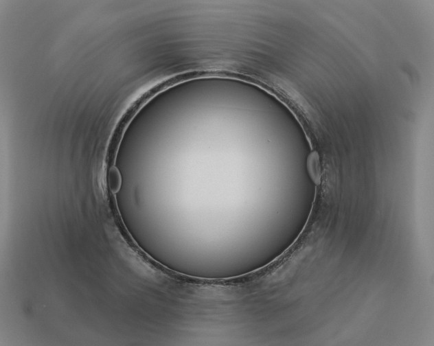 X0000114080932200910191539