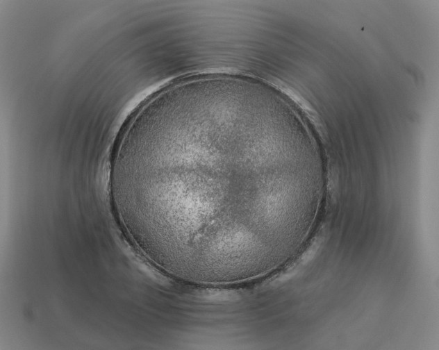 X0000114080933200910191539