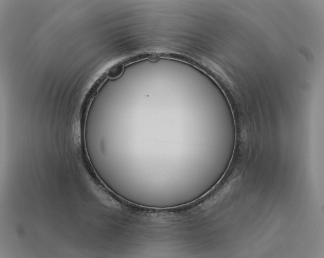 X0000114080934200910191539