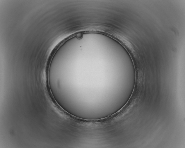 X0000114080936200910191539