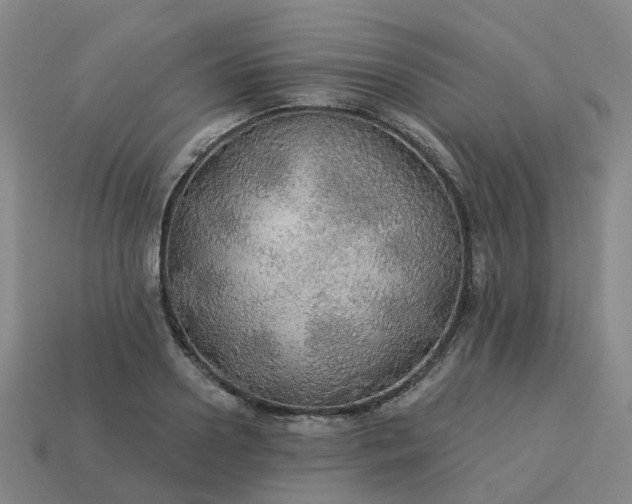 X0000114080938200910191539