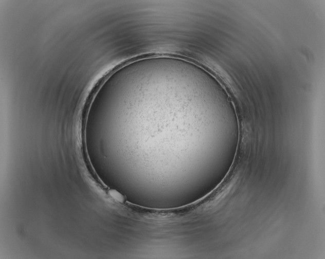 X0000114080939200910191539