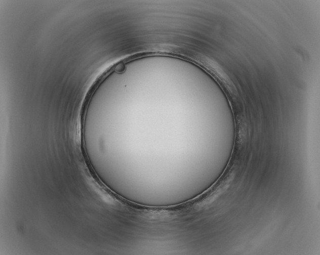 X0000114080940200910191539