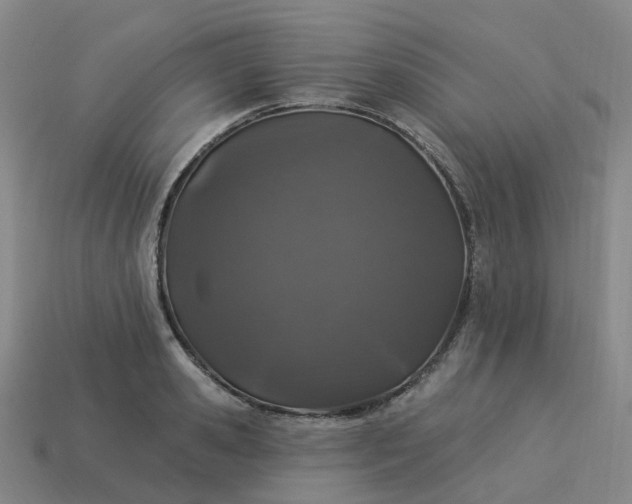 X0000114080941200910191539