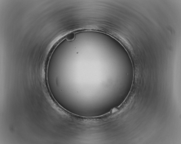 X0000114080944200910191539