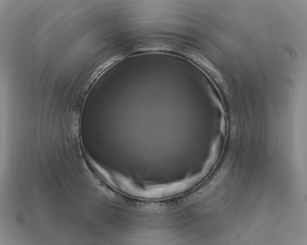 X0000114080945200910191539