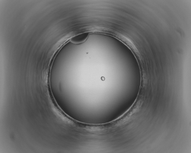 X0000114080946200910191540