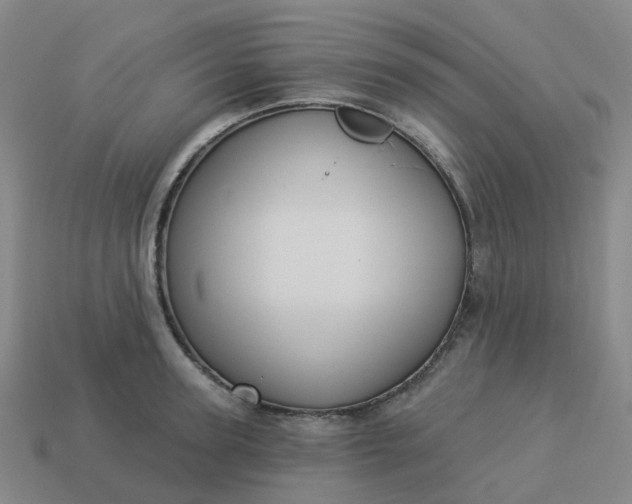 X0000114080947200910191540