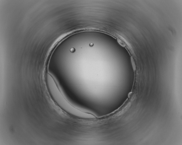 X0000114080948200910191540