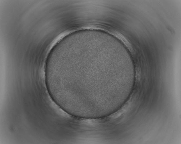 X0000114080950200910191540