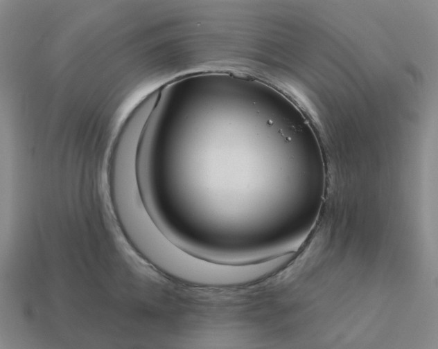 X0000114080952200910191540