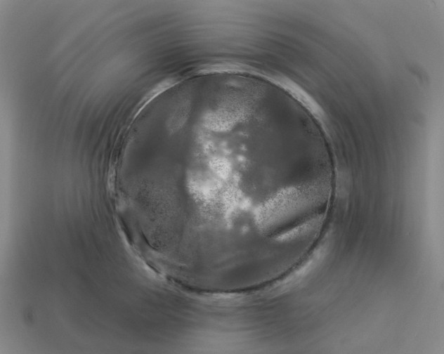 X0000114080953200910191540