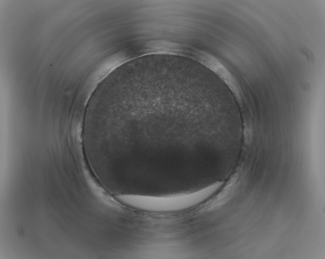 X0000114080954200910191540