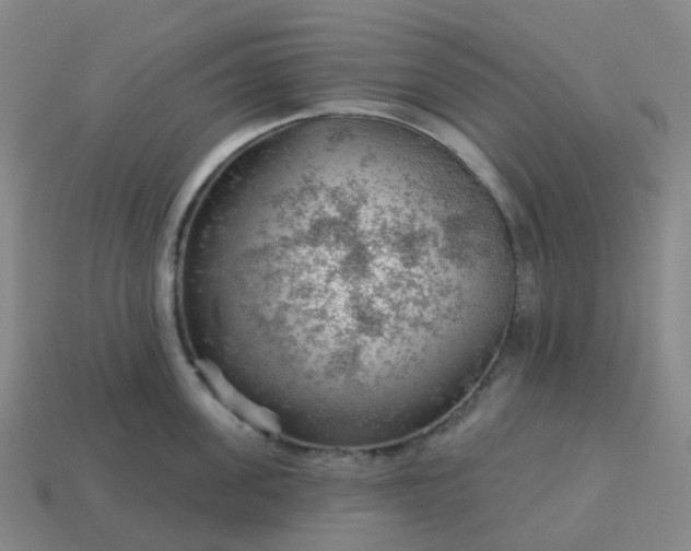 X0000114080955200910191540