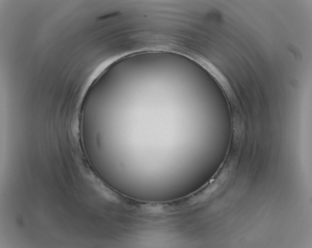 X0000114080956200910191540