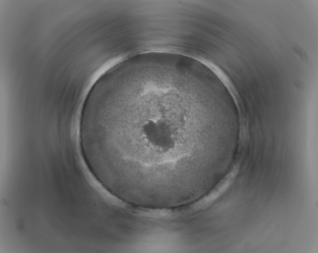 X0000114080957200910191540