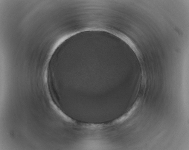 X0000114080958200910191540