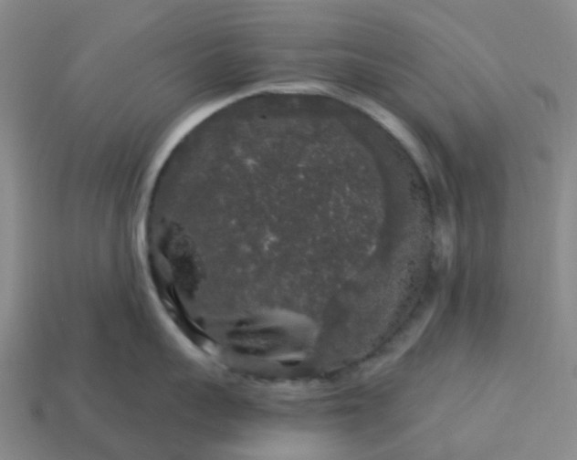 X0000114080959200910191540