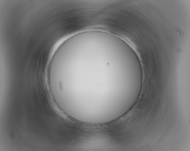 X0000114080960200910191540