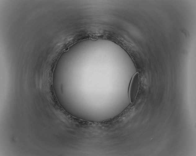 X0000114080961200910191539