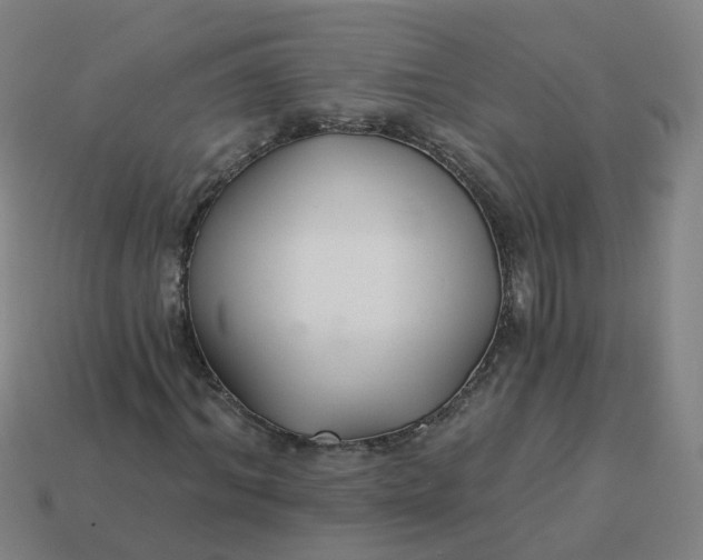 X0000114080964200910191539