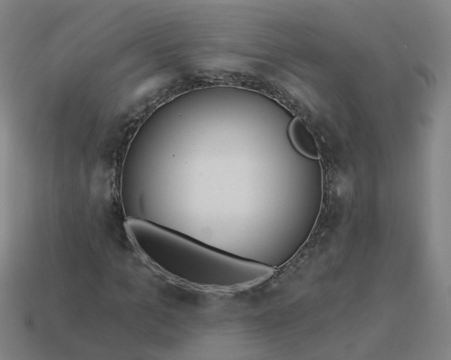 X0000114080965200910191539