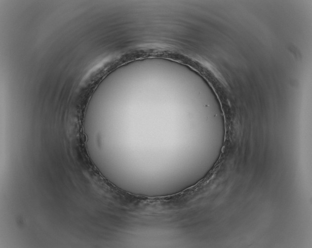 X0000114080967200910191539