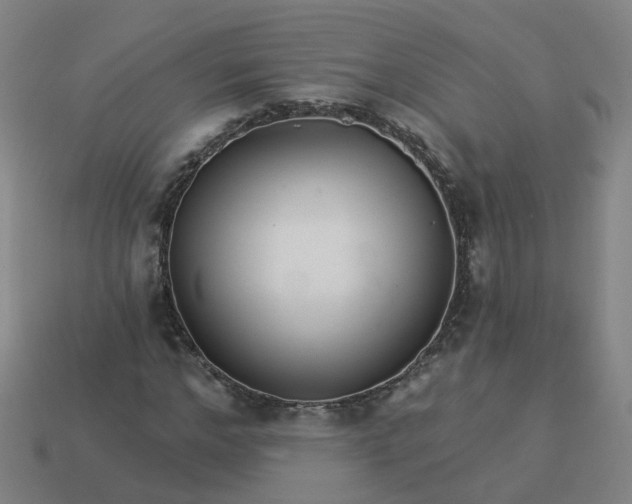 X0000114080968200910191539