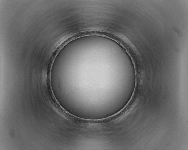 X0000114080969200910191539