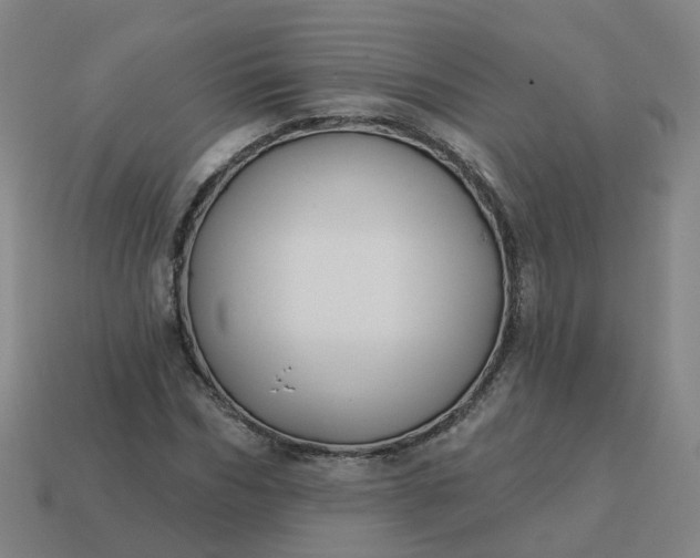 X0000114080970200910191539