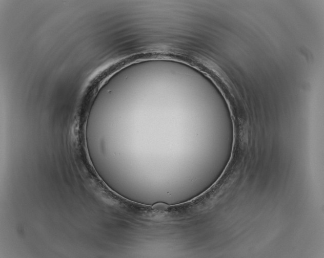 X0000114080971200910191539