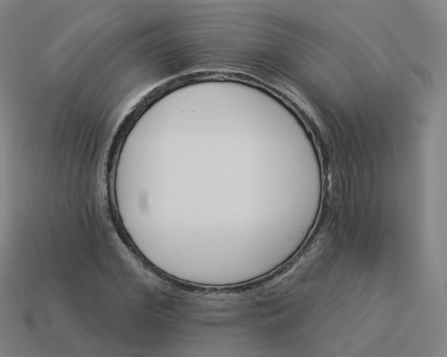 X0000114080972200910191539