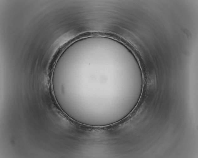 X0000114080974200910191539