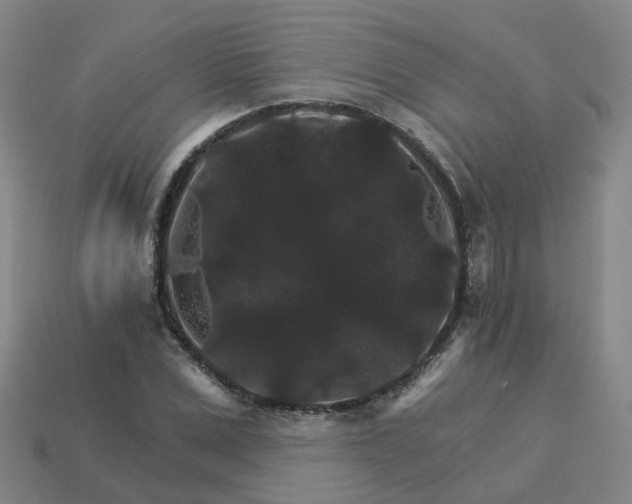 X0000114080975200910191539